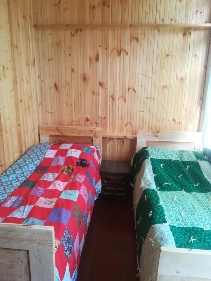 Guest House Georgia Elisabeth Адиши Экстерьер фото
